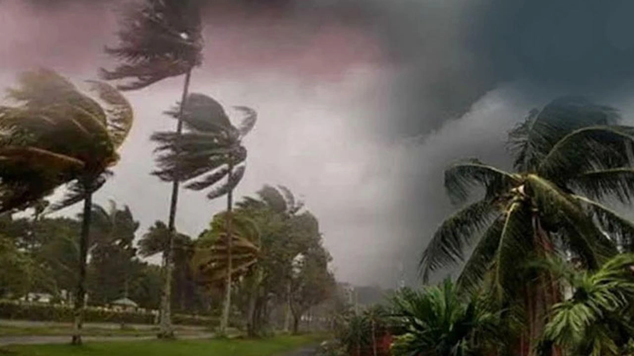 ছবি সংগৃহীত