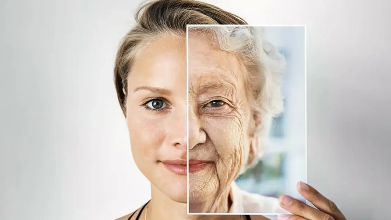 ছবি সংগৃহীত