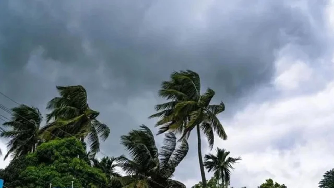 ছবি সংগৃহীত