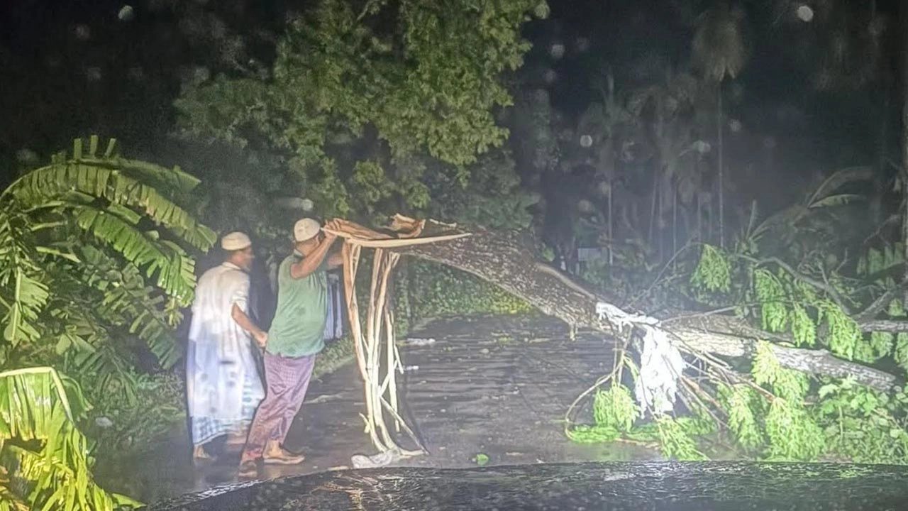 কালবৈশাখী ঝড়ে উপড়ে পড়া গাছ সরিয়ে সড়ক চলাচল স্বাভাবিক করার চেষ্টা করছেন স্থানীয়রা।