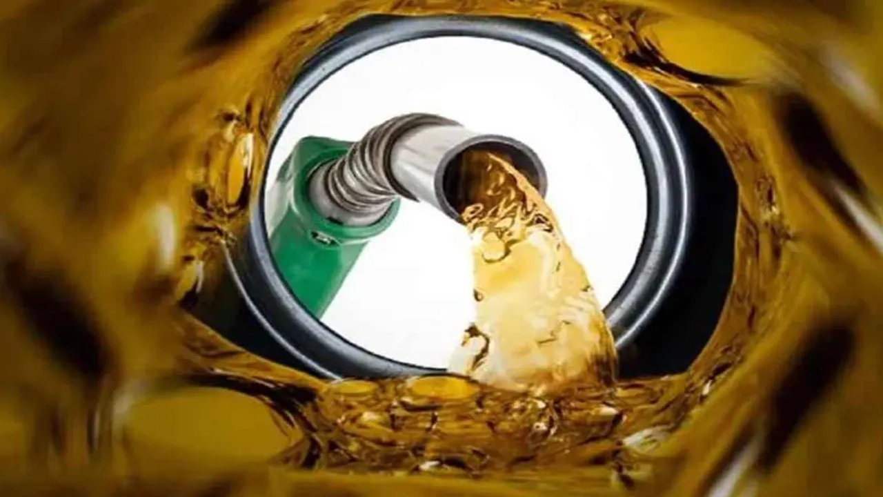 ছবি সংগৃহীত