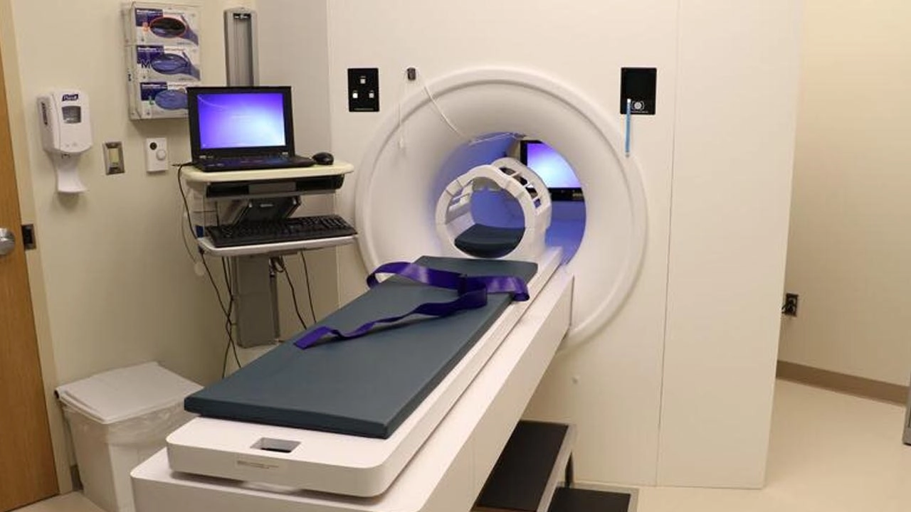 ছবি সংগৃহীত