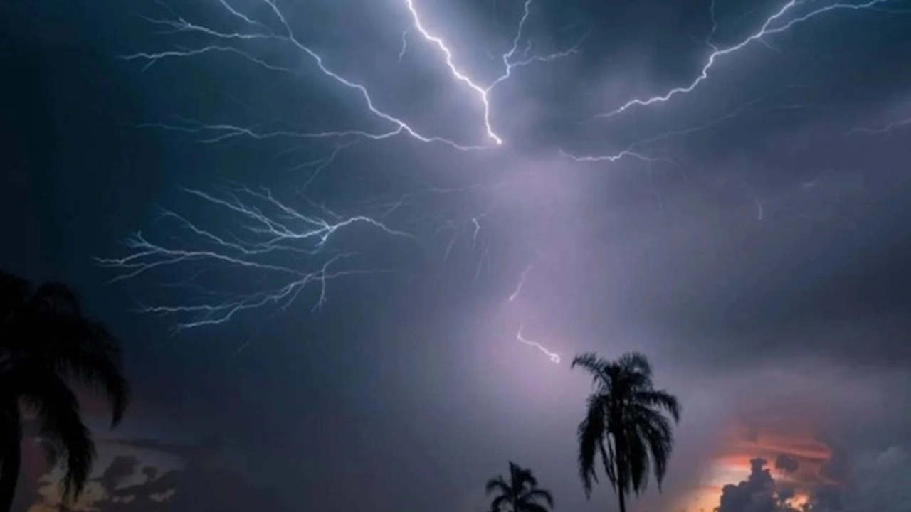 ছবি সংগৃহীত