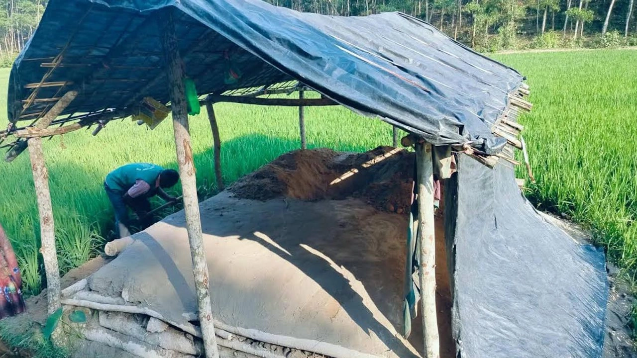 বন্যহাতি হত্যা করে মাটিচাপা দিয়ে উপরে ঘর নির্মাণ করা হয়েছে।