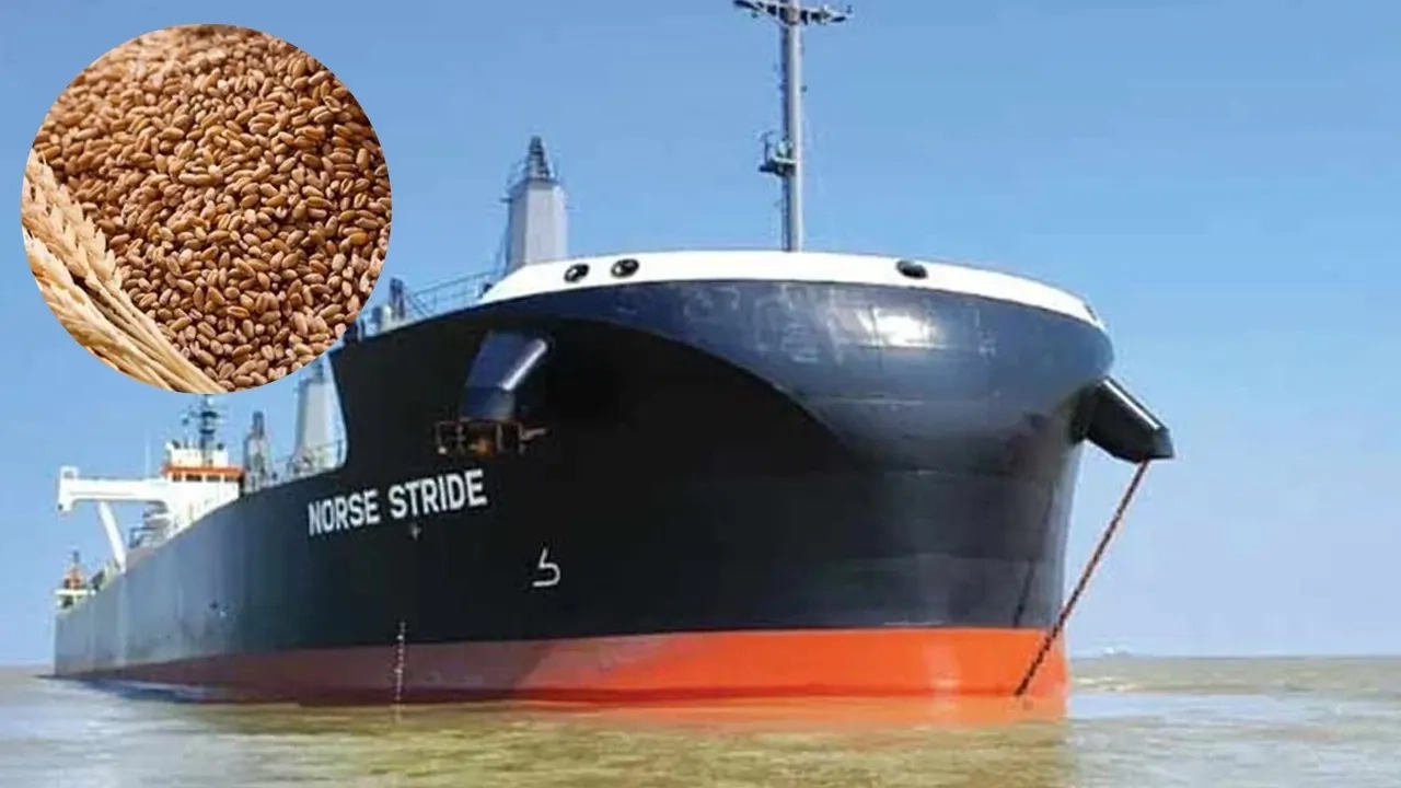 ফাইল ছবি