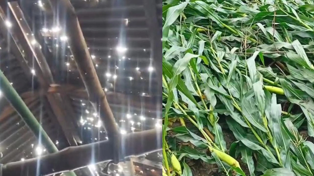 লালমনিরহাটে আকস্মিক ঝড় ও শিলাবৃষ্টিতে ঘর বাড়িসহ উৎতি ফসলে ব্যাপক ক্ষতি