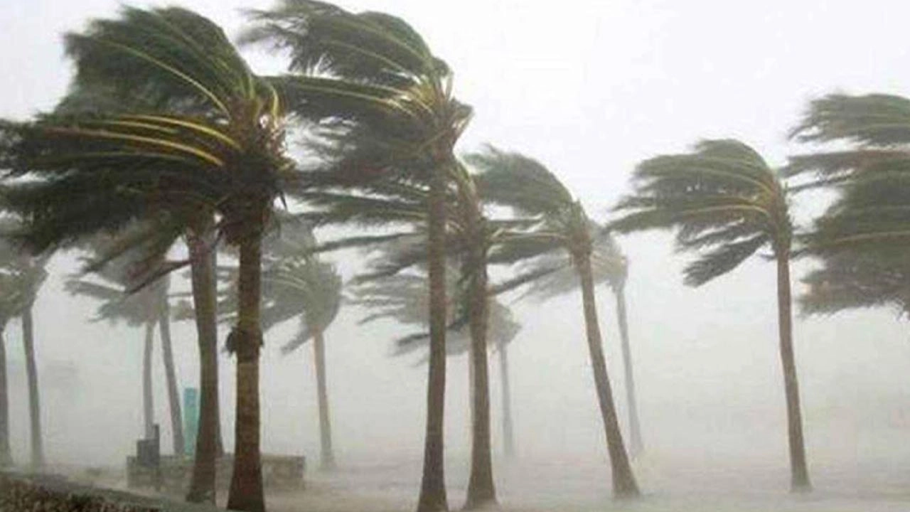 ছবি সংগৃহীত