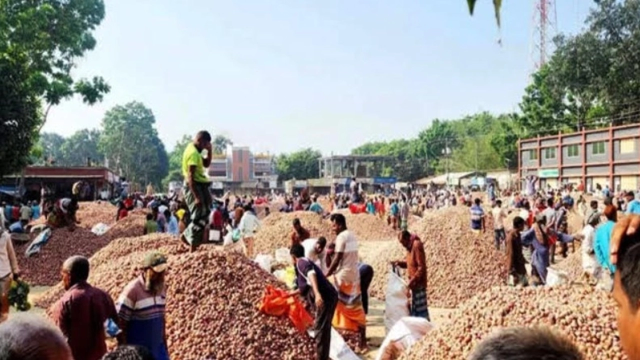 পেঁয়াজের আড়ৎ