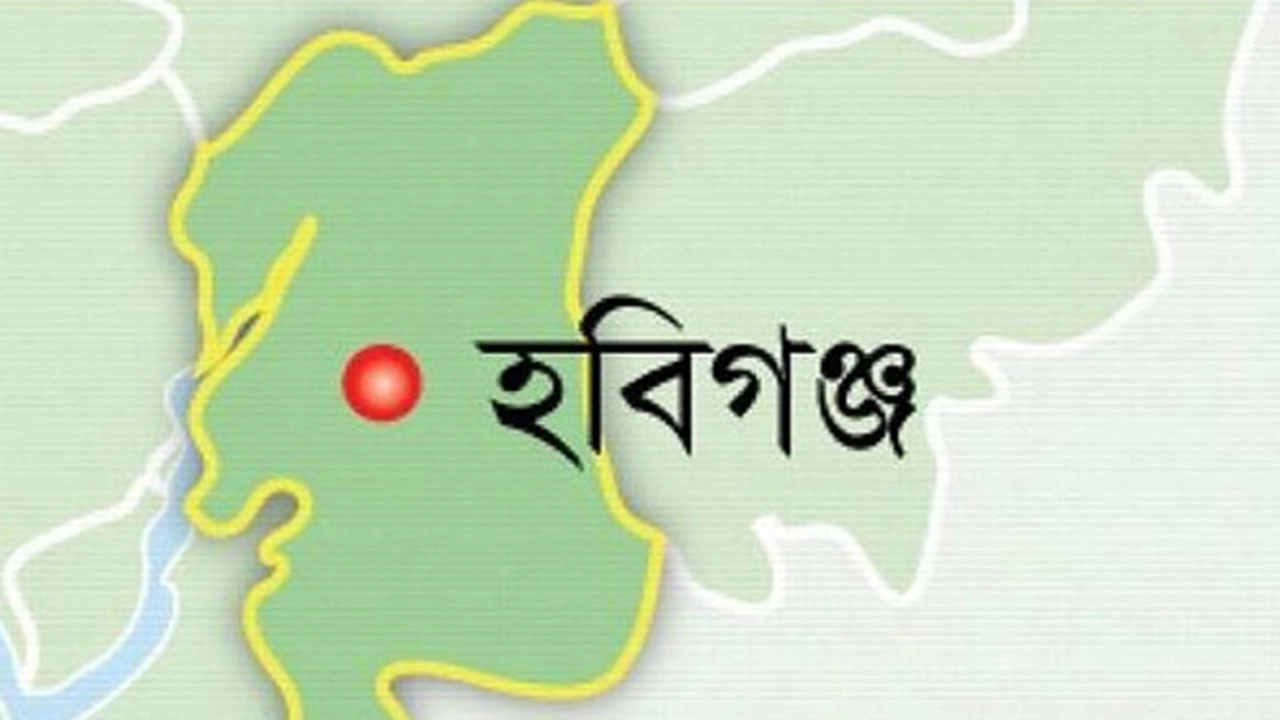 ছবি সংগৃহীত