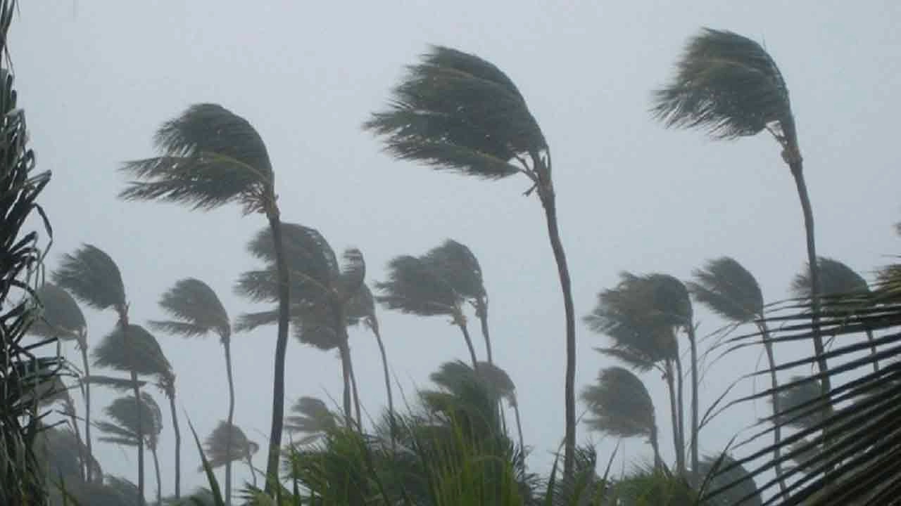 ছবি সংগৃহীত