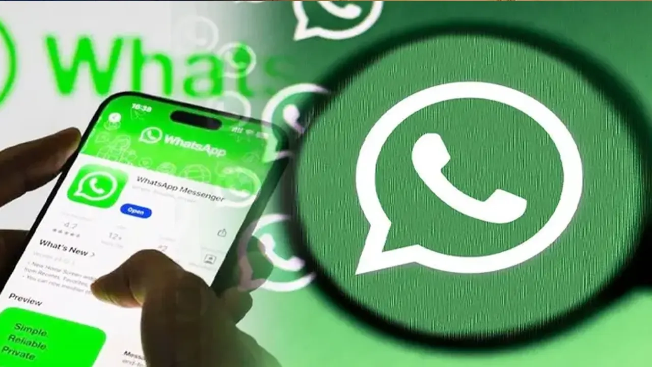 ছবি সংগৃহীত