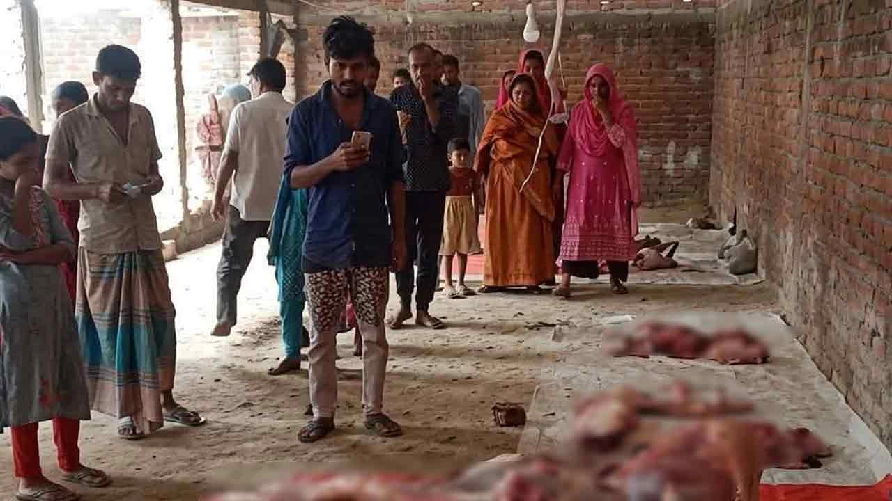 বাবগঞ্জে ৬টি ঘোড়ার ৪১০ কেজি মাংস জব্দ