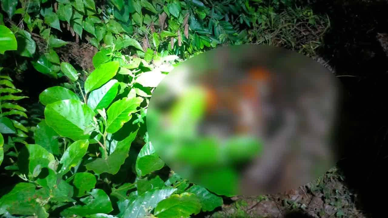 যুবকের অর্ধগলিত লাশ উদ্ধার