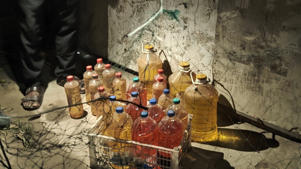 ছবি: সংগৃহীত