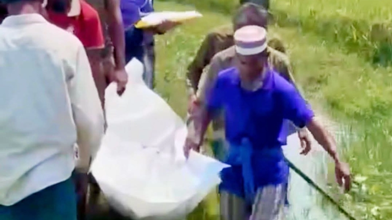 ছবি সংগৃহীত