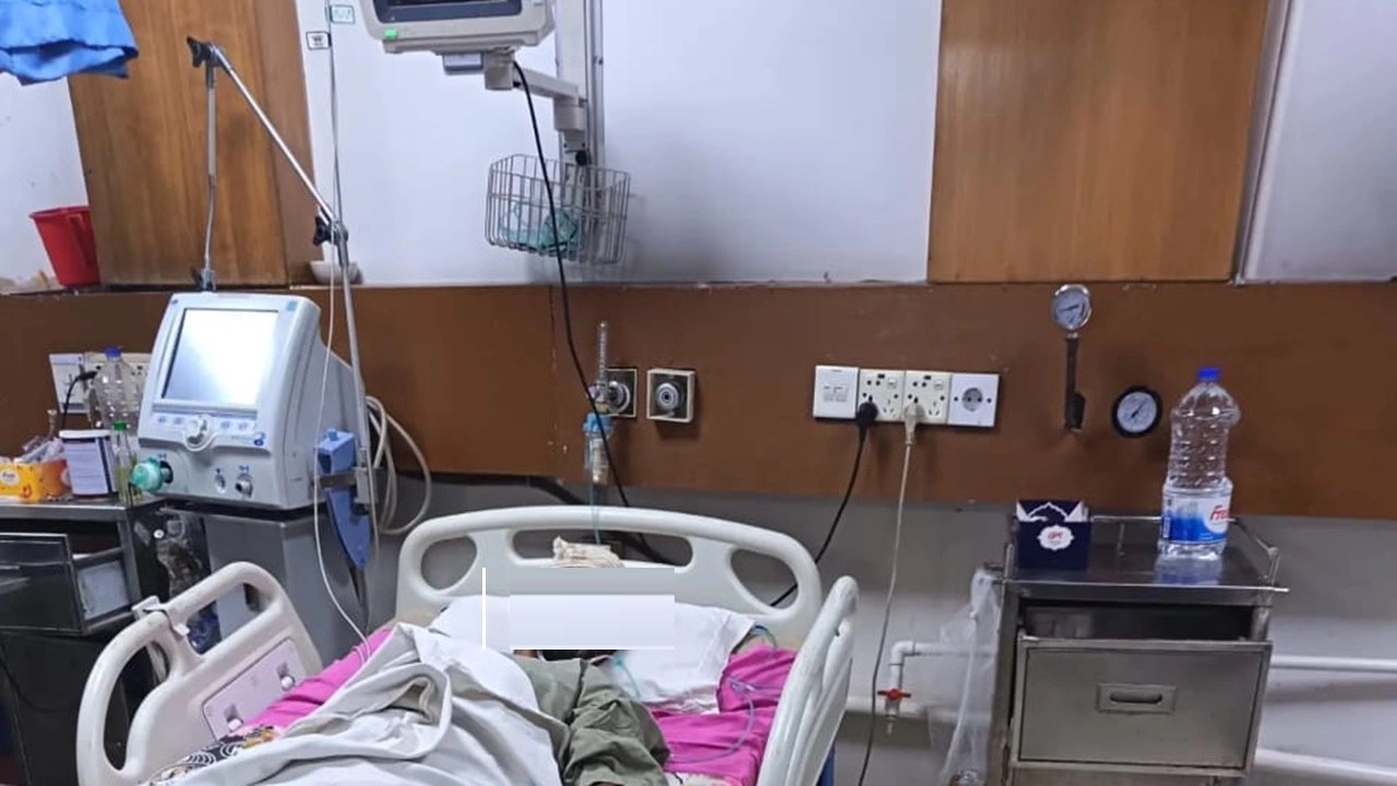 ছবি সংগৃহীত