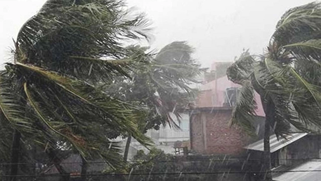 ফাইল ছবি