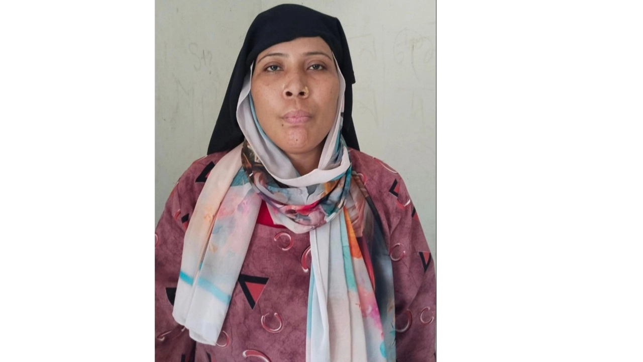 হানিট্রাপ খ্যাত লাইলি