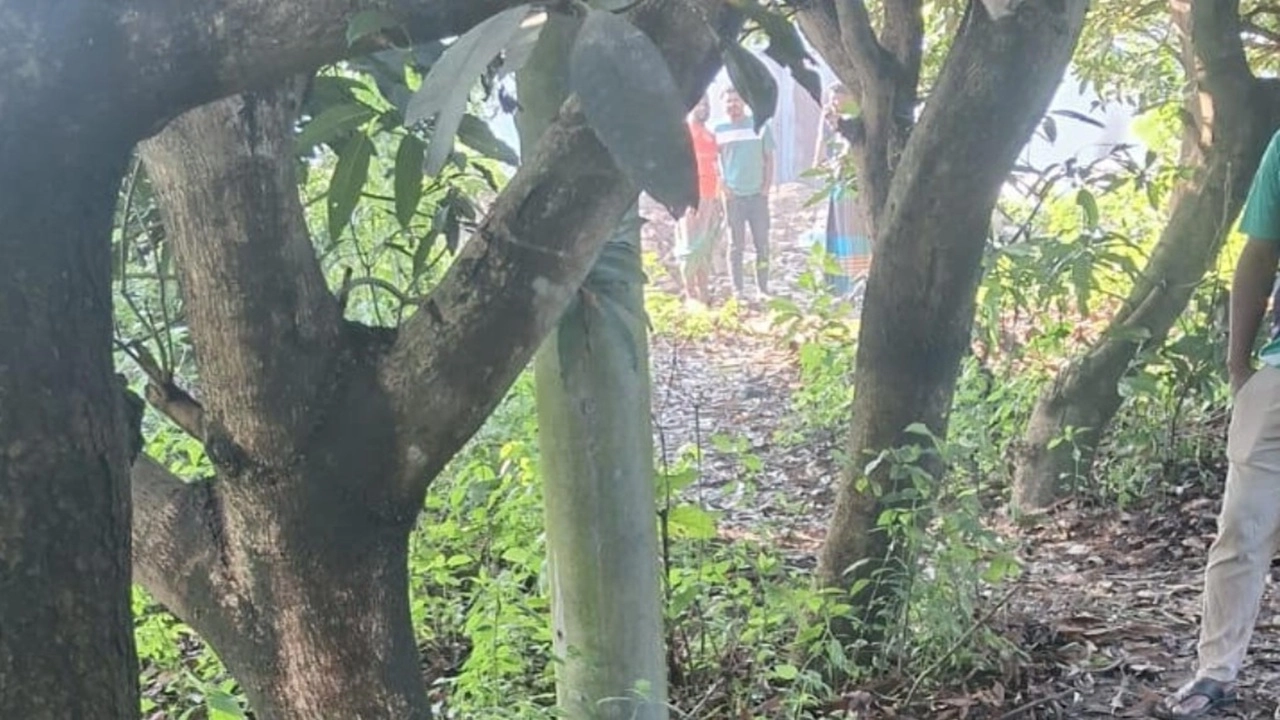 মুন্সীগঞ্জের গজারিয়া উপজেলায় স্থানীয়দের ধাওয়া খেয়ে জবাই করা ১৩টি ঘোড়া ফেলে পালিয়েছে অবৈধ ঘোড়ার মাংস ব্যবসায়ী একটি চক্র।