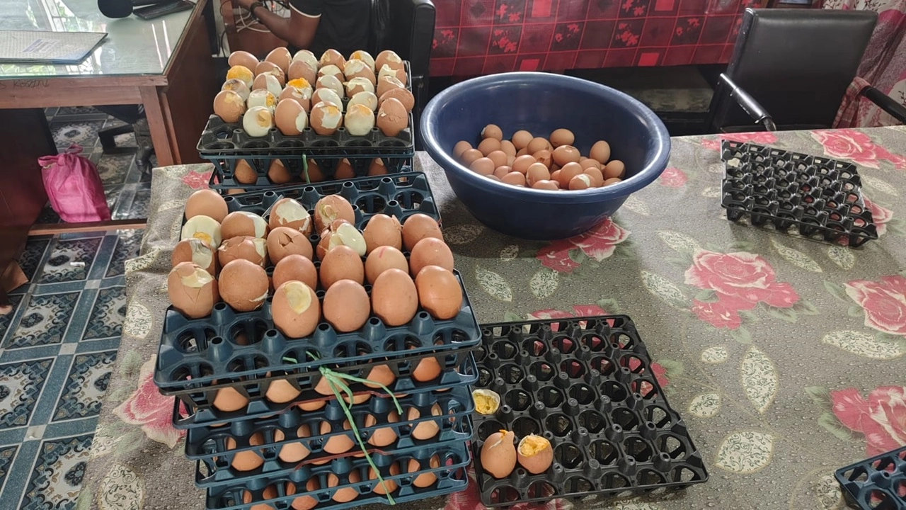 মতলব উত্তরের ওটারচর সরকারি প্রাথমিক বিদ্যালয়ে মিড-ডে মিলের জন্য সরবরাহ করা পচা ও নষ্ট ডিম