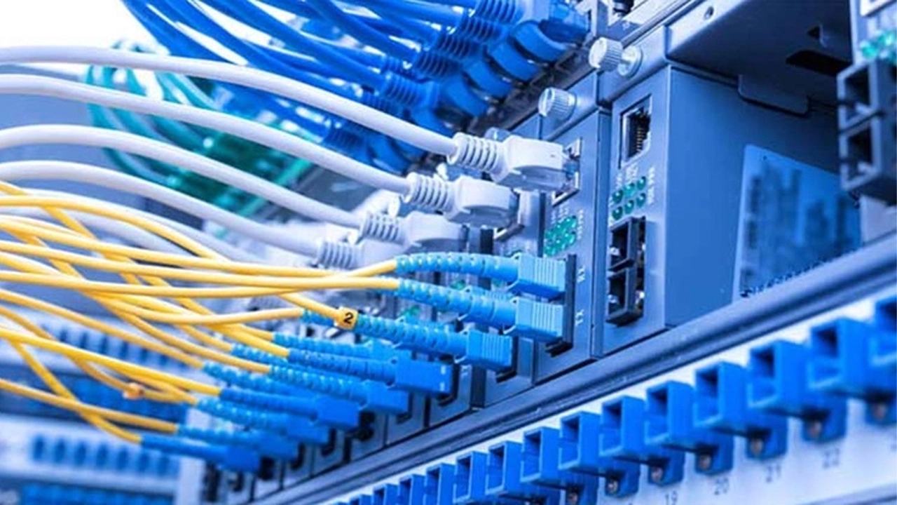 ছবি সংগৃহীত