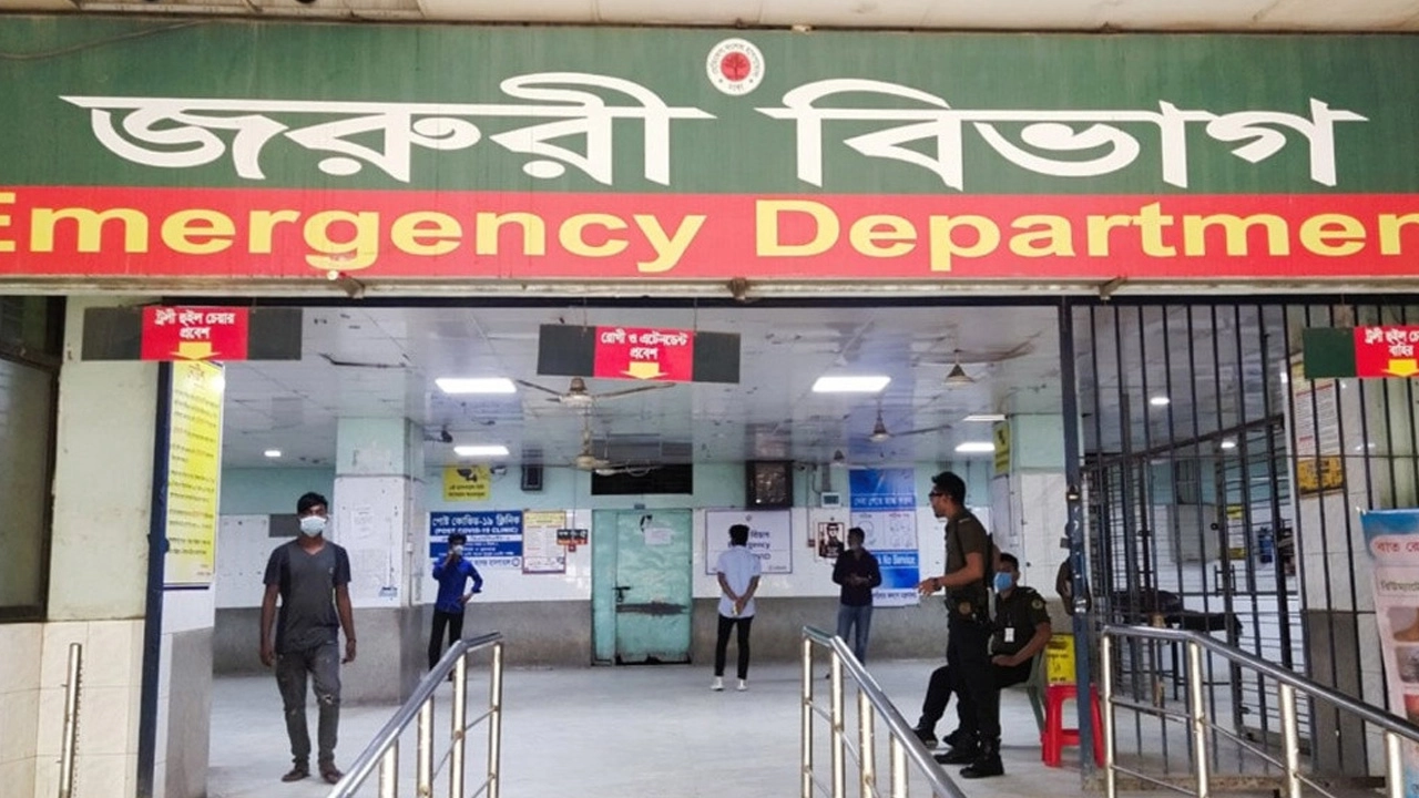 ছবি সংগৃহীত