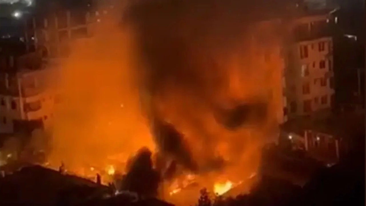 ছবি সংগৃহীত