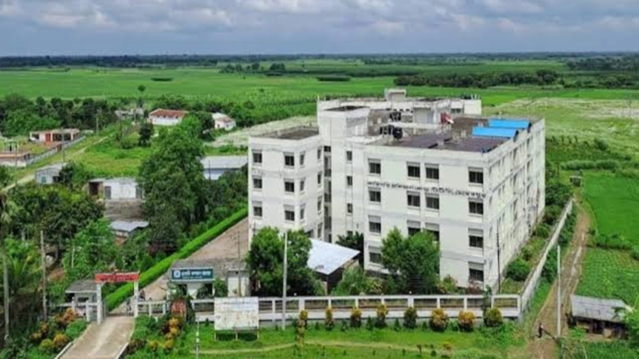 ছবি সংগৃহীত