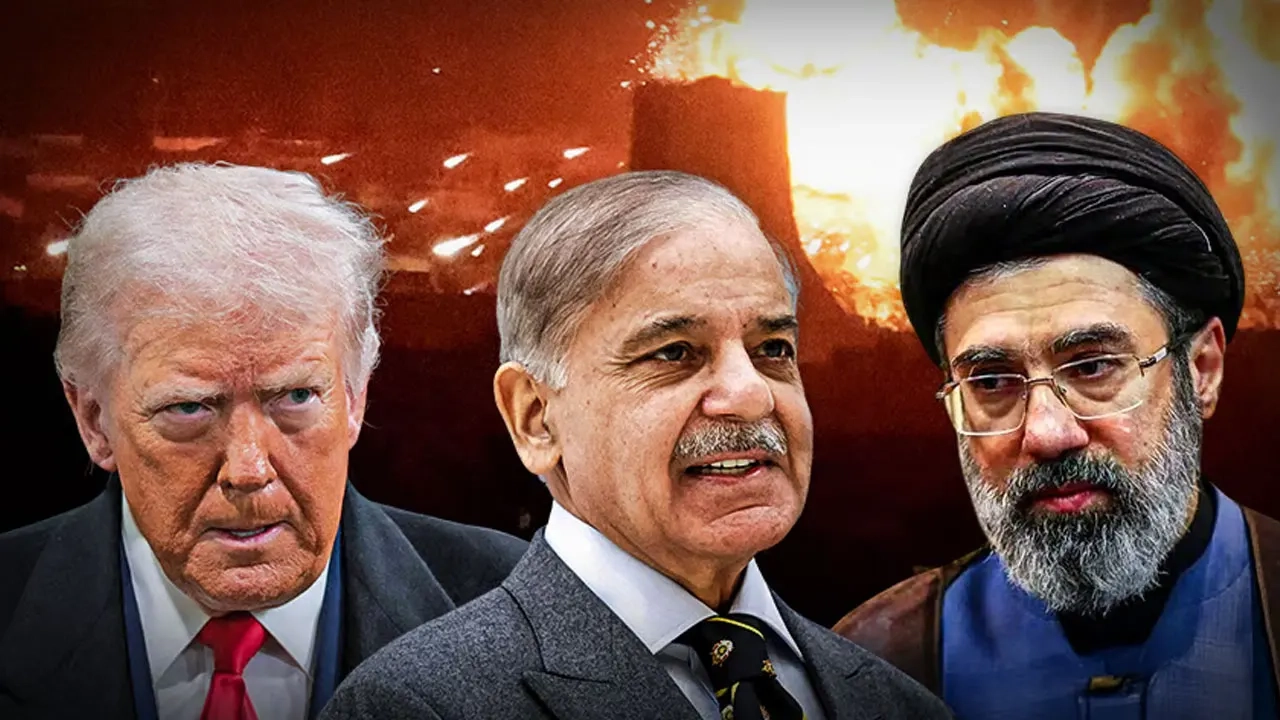 ছবি সংগৃহীত