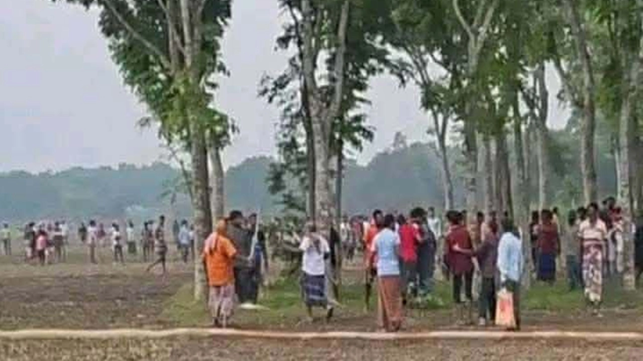 ছবি সংগৃহীত