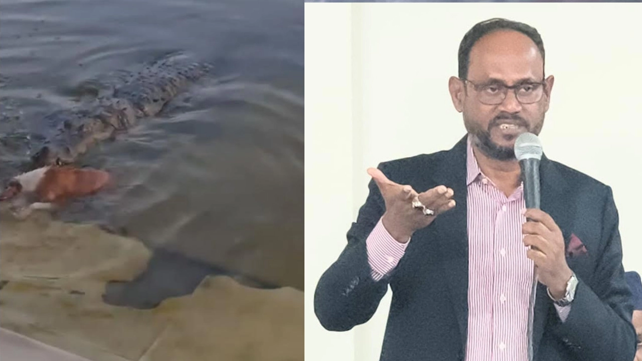 ছবি সংগৃহীত