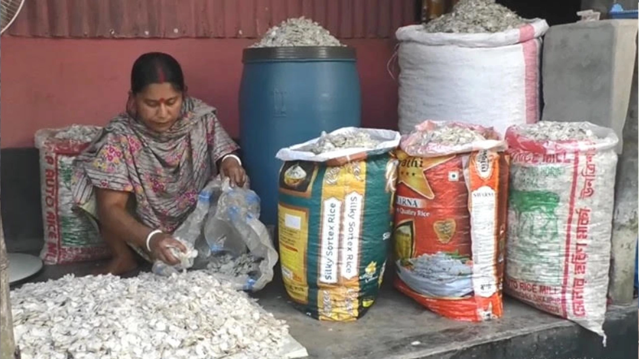 কুড়িগ্রামে একসময় ফেলে দেওয়া মাছের আঁশ এখন হয়ে উঠেছে মূল্যবান রপ্তানি পণ্য।