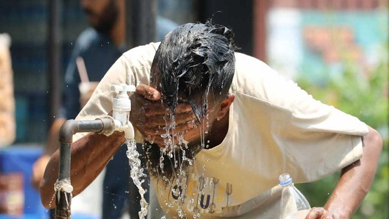 ছবি সংগৃহীত