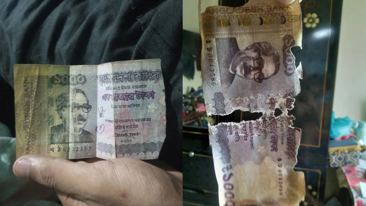 ফাইল ছবি