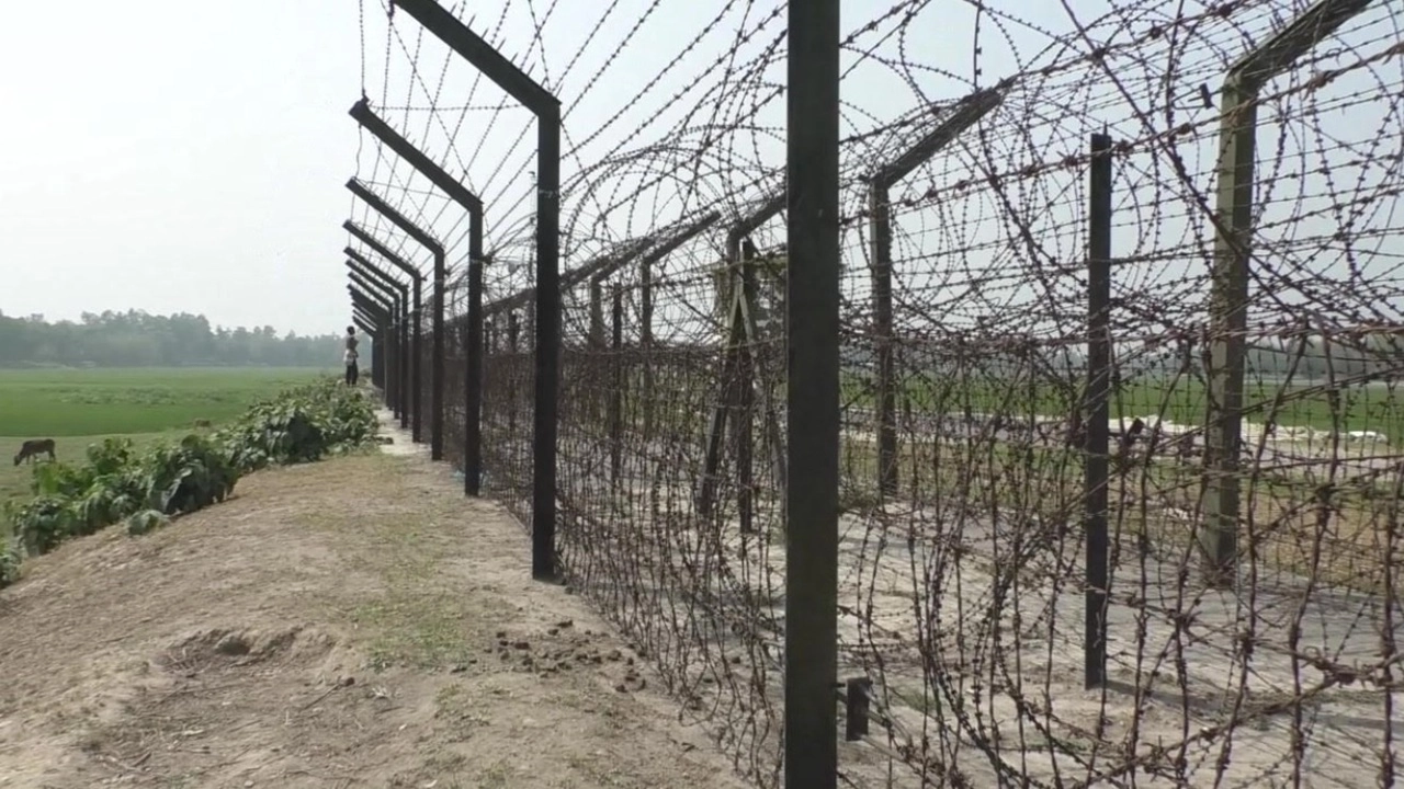 ফাইল ছবি