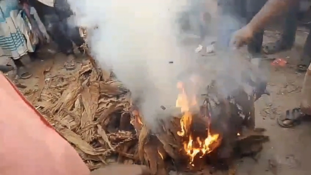 ছবি সংগৃহীত