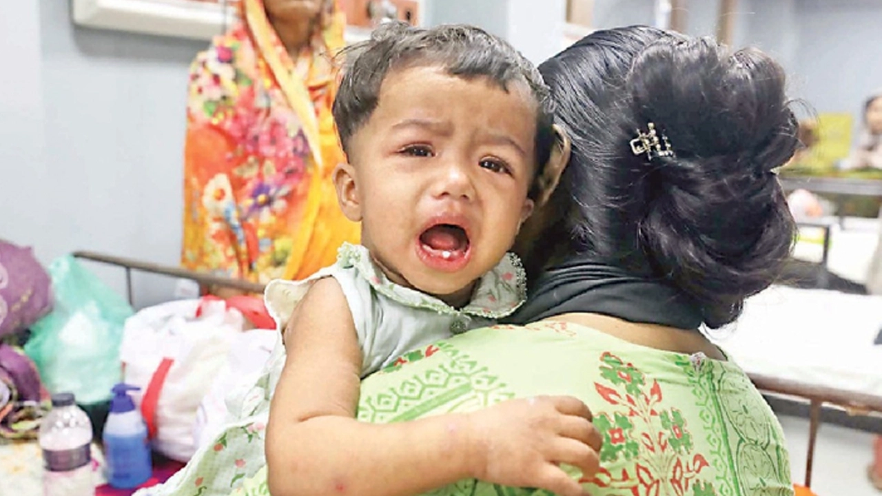 ফাইল ছবি