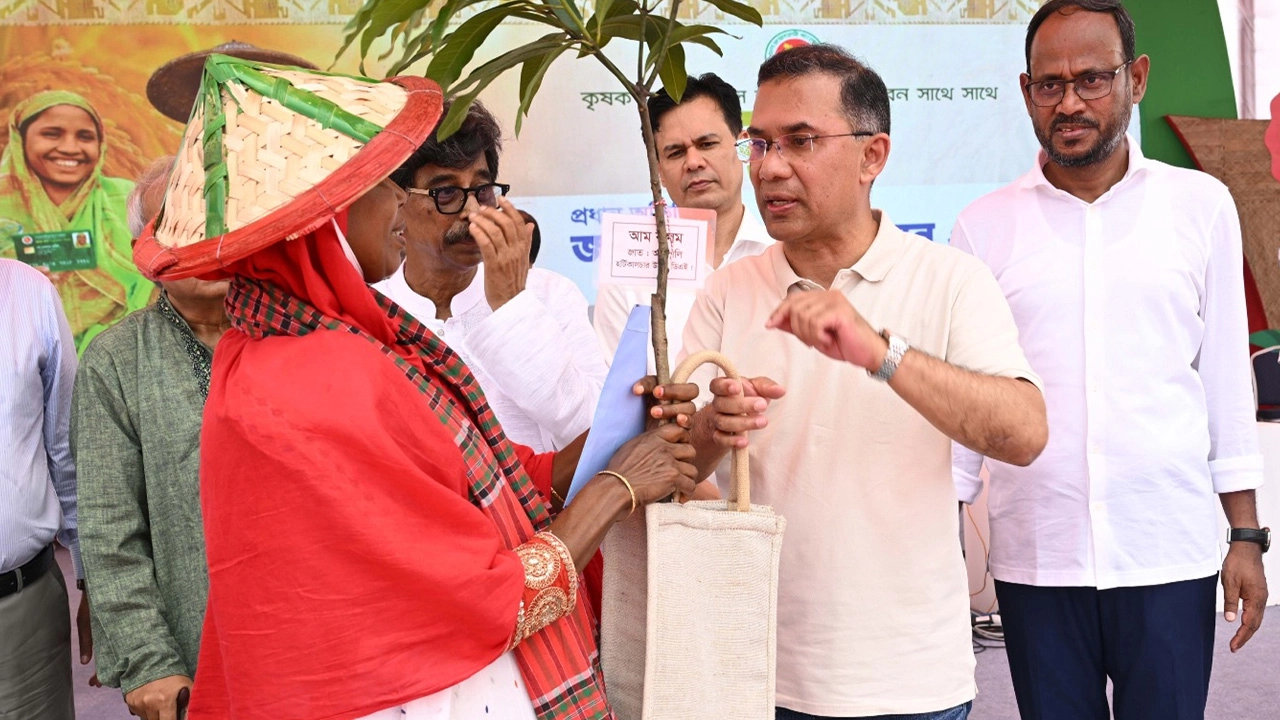 ছবি সংগৃহীত