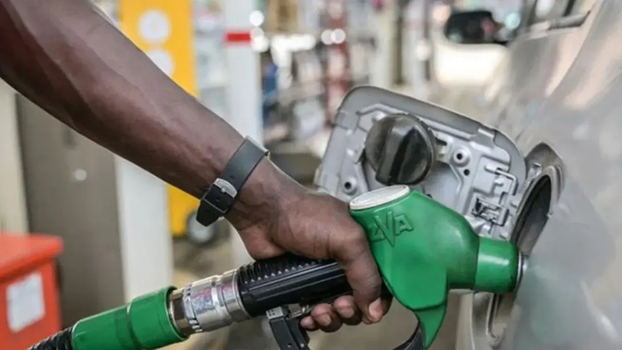 ফাইল ছবি