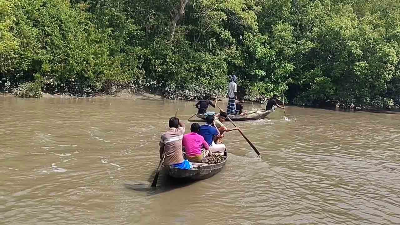 সুন্দরবনে যেতে অনাগ্রহী হয়ে পড়েছেন অনেক মৌয়াল