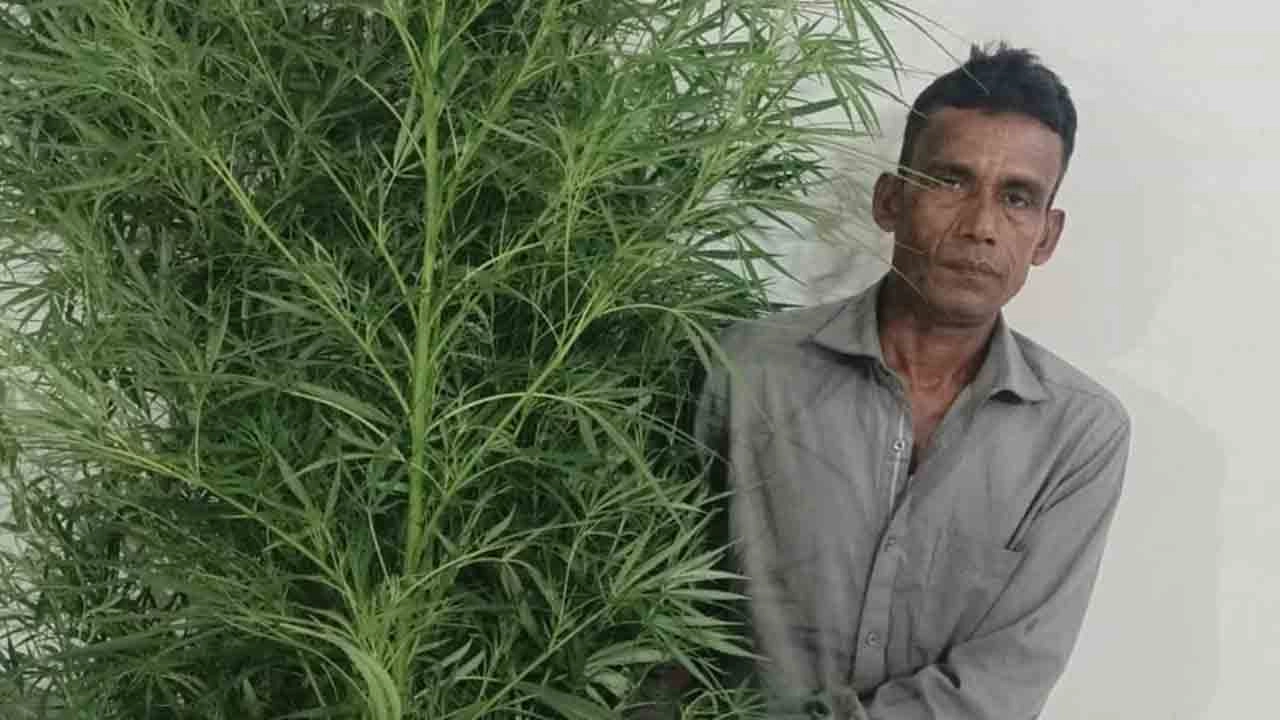 গ্রেফতারকৃত কৃষক জামাল হোসেন