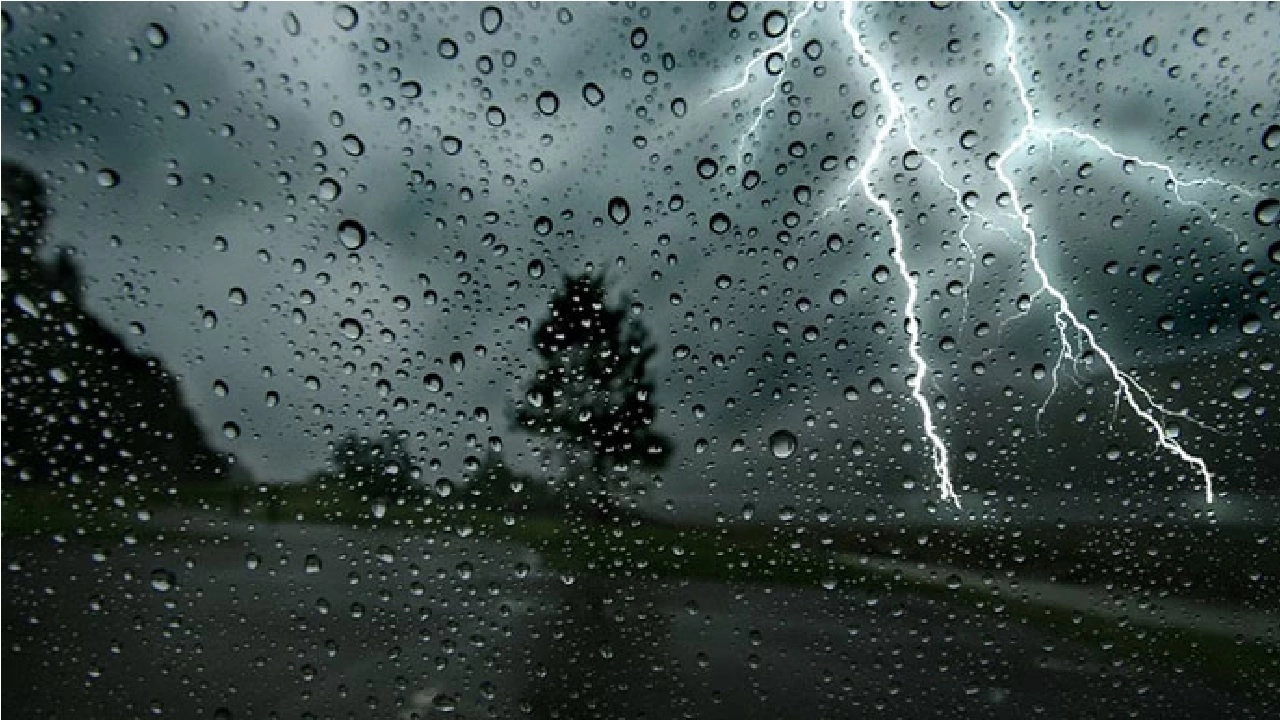 ছবি সংগৃহীত