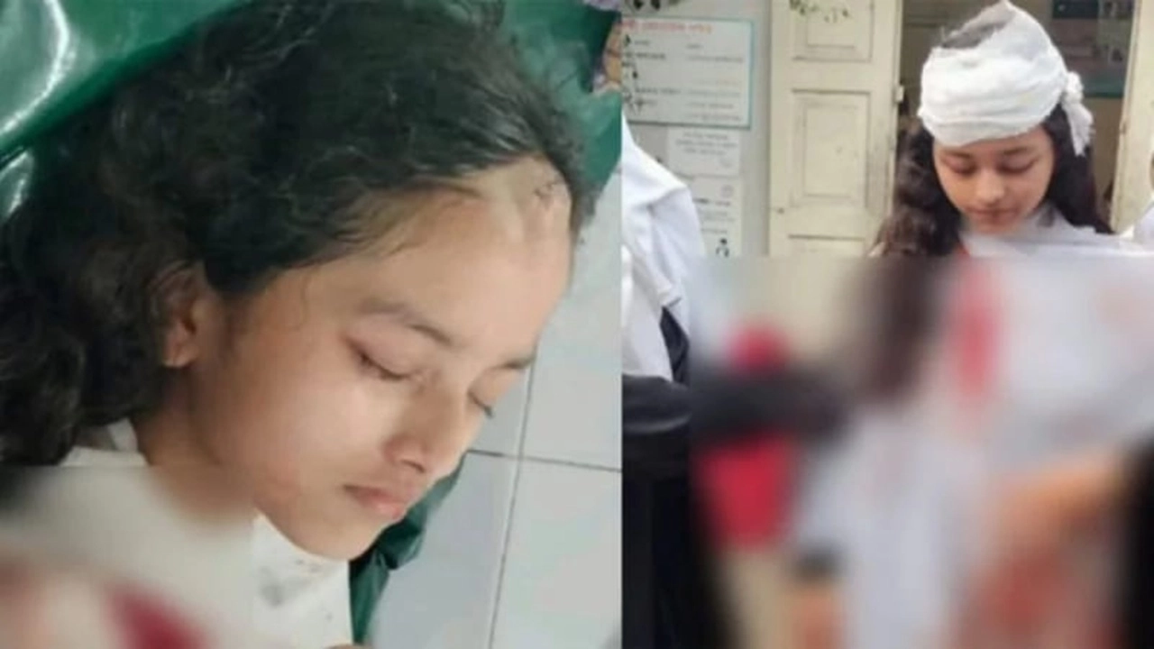 ছবি সংগৃহীত