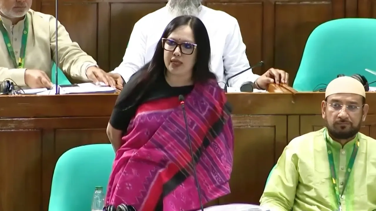 সংসদ অধিবেশনে রুমিন ফারহানা ।। ছবি: সংগৃহীত