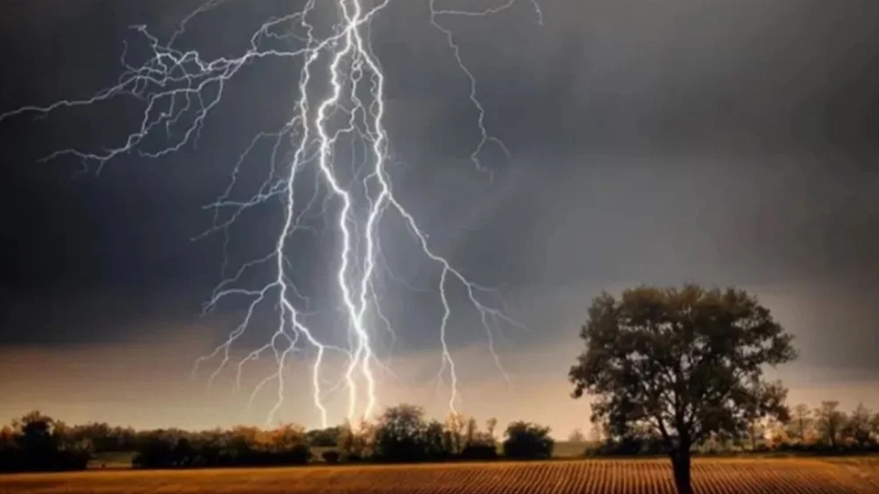 ছবি সংগৃহীত