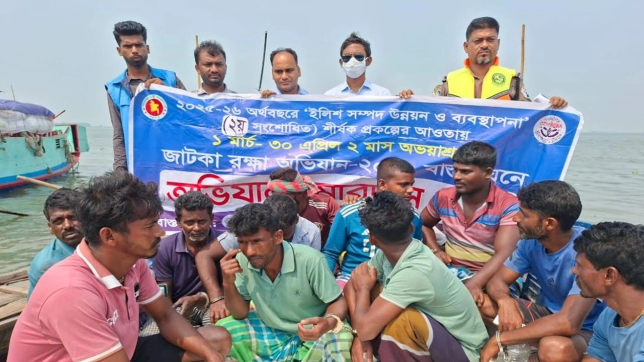 মতলব উত্তরে জাটকা রক্ষা অভিযানে ১২ জেলে আটক, ৫ নৌকা জব্দ