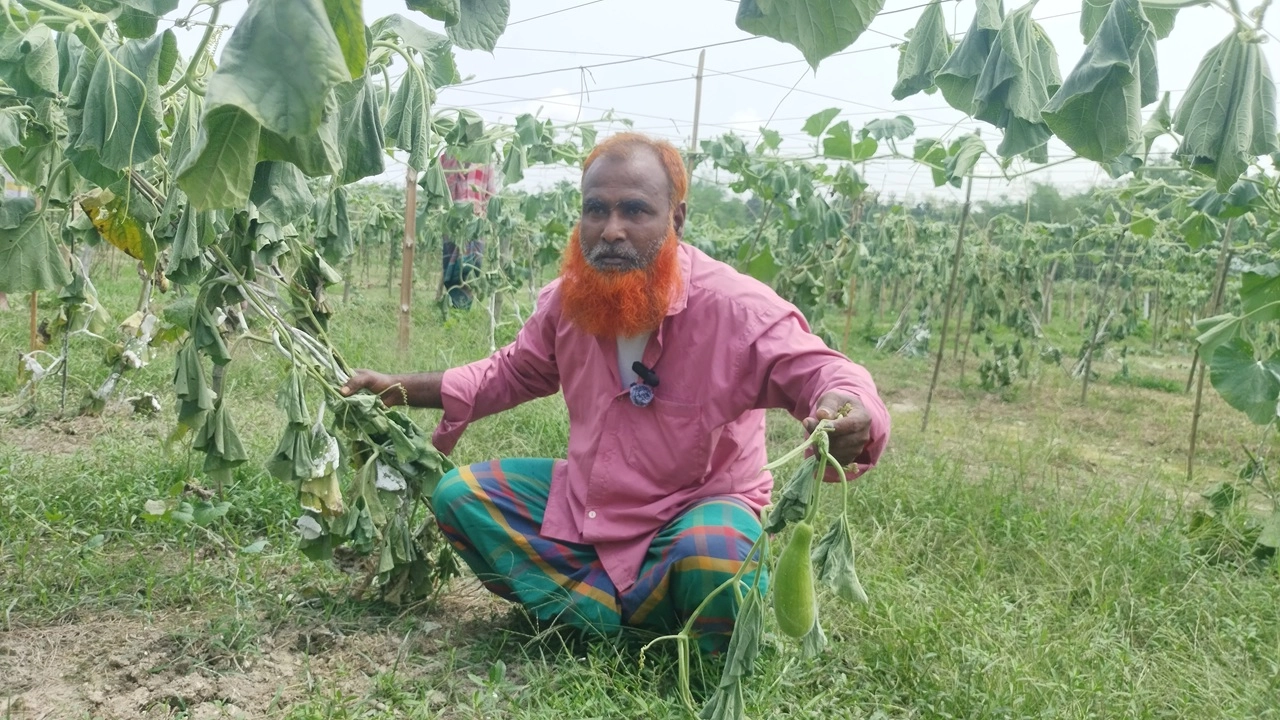 ভুক্তভোগী কৃষক আলী আকবর