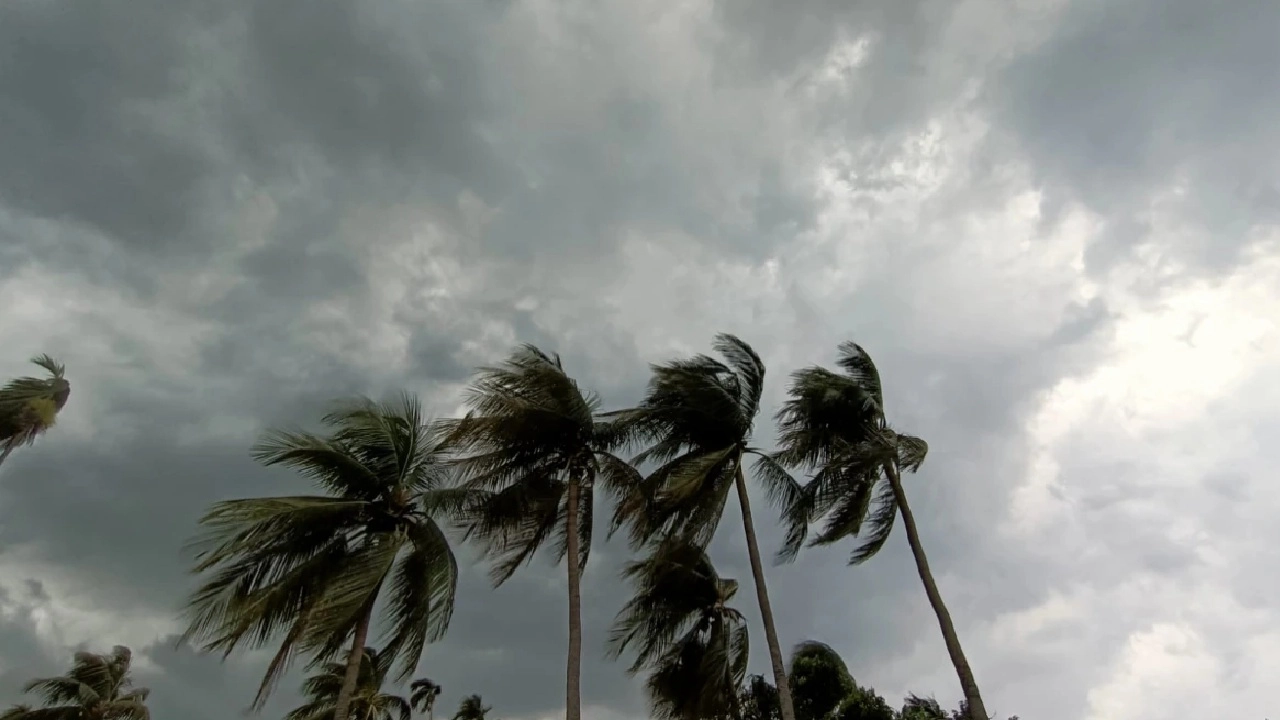 ছবি সংগৃহীত