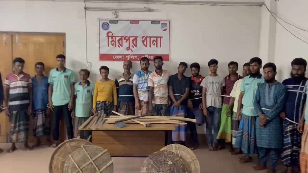 ছবি সংগৃহীত