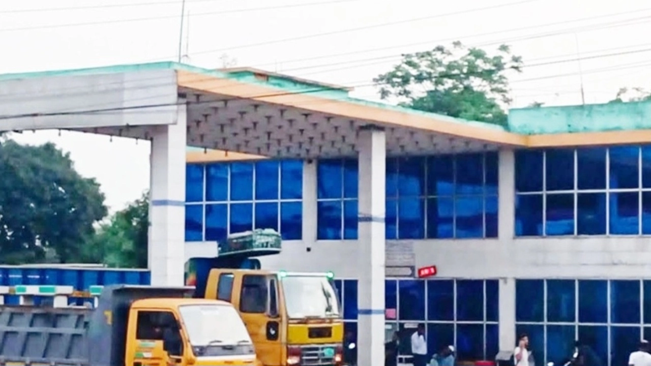 ছবি সংগৃহীত